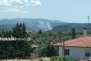 Πυρκαγιά στα Νεόκτιστα Ασπροπύργου: "Μάχη" από  25 πυροσβέστες με 8 οχήματα