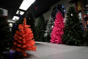 "Παγώνουν" οι δόσεις δανείων μέχρι και το τέλος Μαρτίου - Ποιους αφορά - εικόνα 3