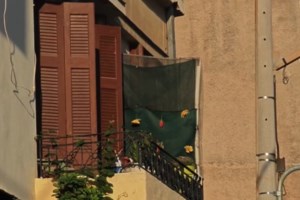 Φωτιά στον Πρόδρομο Βοιωτίας: Σηκώθηκαν 4 εναέρια μέσα, μήνυμα 112 "παραμείνετε σε ετοιμότητα"