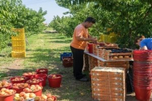 Αγρότες: "Ναι" στον διάλογο - "Όχι" στο συλλαλητήριο στην Αθήνα - Δύο επιτροπές με 35 άτομα για τη συνάντηση της Τρίτης