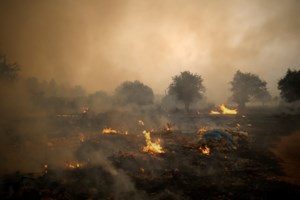 Αrogi.gov.gr: Ξεκινούν οι πρώτες πληρωμές στους πυρόπληκτους - Πάνω από 550 αιτήσεις την πρώτη μέρα - εικόνα 2