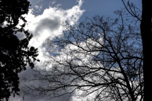 Εκτίμηση Κολυδά: Το σημάδι του καιρού που δείχνει βροχερά Χριστούγεννα - Τα "Νικολοβάρβαρα" και τα κύματα Rossby