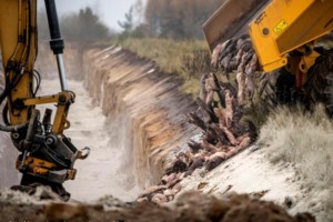 Δανία-βιζόν: Τοπικό εμβόλιο αποδείχθηκε αποτελεσματικό εναντίον του μεταλλαγμένου στελέχους του κορονοϊού - εικόνα 2