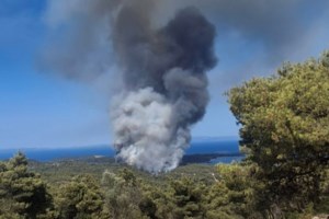 Χαλκιδική: Στο αυτόφωρο 45χρονος για τη μεγάλη φωτιά στη Βουρβουρού -  Εκανε αγροτικές εργασίες με "καταστροφέα"