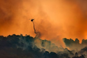 Meteo: Το 22% της Χίου έχει καεί από το 2016 - Πάνω από 100.000 στρέμματα χάθηκαν μόνο φέτος - εικόνα 2