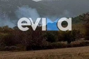 Θρίλερ στην Εύβοια: 60χρονος πατέρας τριών παιδιών βρέθηκε νεκρός σε δεξαμενή [εικόνες]