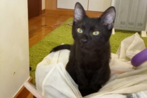 Την έβγαλαν Μακαρένα θεωρώντας πως το όνομα θα λειτουργήσει σαν θετική ενέργεια που θα την κάνει να σηκωθεί