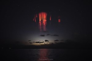 Λύθηκε το μυστήριο με τα περίεργα πρόβατα από τη Μογγολία που κάνουν αδιάκοπα κύκλους - Εγιναν viral - εικόνα 3