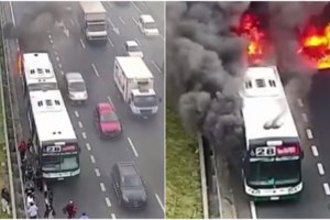 "Πνίγηκε" η Γερμανία από τις καταιγίδες: Πλημμύρισε το αεροδρόμιο της Φρανκφούρτης, ματαιώθηκαν 90 πτήσεις [βίντεο]