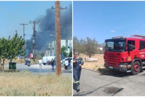 Φωτιά στη Μεσσηνία: Συναγερμός με τις φλόγες κοντά σε σπίτια - Εκκένωση της Ασπροπουλιάς [εικόνες, βίντεο]