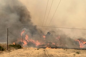Ρόδος: Οι Βρετανοί δεν ακυρώνουν τις διακοπές τους στο νησί - Μεταφέρθηκαν σε καταλύματα άλλων περιοχών