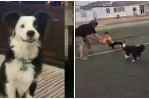 Μύκονος: 100 ευρώ η συμμετοχή στο πάρτι του γνωστού επιχειρηματία σε βίλα - Η μυστική έφοδος των αστυνομικών - εικόνα 4