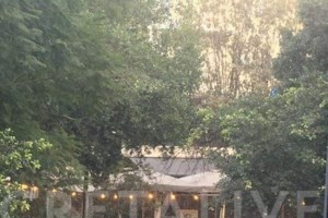 Ηράκλειο: Κακόγουστη φάρσα με αντισηπτικό στο νερό που ήπιαν δύο μαθήτριες - εικόνα 2