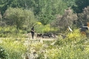 Το μήνυμα της Μαρίας Καρυστιανού στους μαθητές που πήραν αποβολή για τα Τέμπη: "Θα ήμουν πολύ περήφανη μητέρα σας"