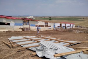 Ποτάμια οι δρόμοι στη Φθιώτιδα από τη νεροποντή: Ξεχείλισαν χείμαρροι - Διεκόπη η κυκλοφορία [Εικόνες] - εικόνα 2