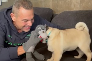 Εντυπωσιακή εμφάνιση Πάνου Καμμένου με... πιθήκους - Έκανε "λίφτινγκ" στο Instagram και μοιάζει δεκαετίες νεότερος