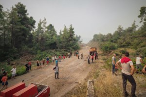 Φωτιά στην Εύβοια: Πύρινη κόλαση στα Βασιλικά - Οι φλόγες έχουν μπει στον οικισμό -Εκκενώνονται και άλλα χωριά - εικόνα 6