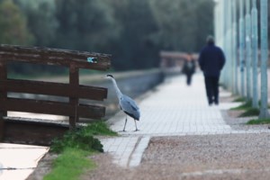 Θεσσαλονίκη: Άγριος ξυλοδαρμός δύο 19χρονων μέσα σε λεωφορείο - "Σαν να ξαναβλέπω τον Άλκη..." - εικόνα 2