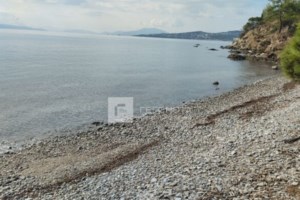 Άγριο ξύλο σε πανηγύρι στον Κορυδαλλό: Έφευγαν καρέκλες στον αέρα - Τραυματίστηκαν δύο αντιδήμαρχοι [βίντεο]