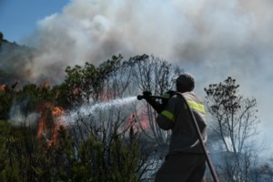 Υπό μερικό έλεγχο η φωτιά στον Υμηττό - εικόνα 2