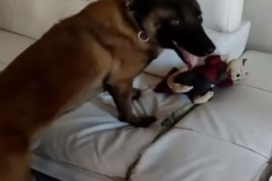 Θεσσαλονίκη: Λήστεψε βενζινάδικο με την απειλή σύριγγας- Τον συνέλαβαν λίγο μετά