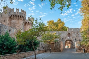 Αρνί στη σούβλα: Βήμα-βήμα όλα τα μυστικά για να πετύχει - Το δέσιμο, τα μπαχαρικά και το ψήσιμο - εικόνα 4