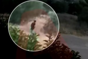 Πόσο γρήγορα έδρασε η Πυροσβεστική στη φωτιά στην Πεντέλη;- Τα στοιχεία - εικόνα 2