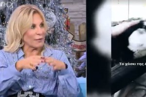 Αράχωβα: Νέα μάρτυρας κλήθηκε να καταθέσει - "Δεν έχει τελειώσει τίποτα για τον Όλιβερ"