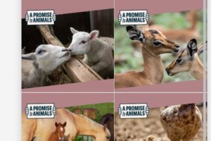 Εριέττα Κούρκουλου: Δεν ξεχνώ τις υπόλοιπες μαμάδες, εκείνες που δεν γέννησαν, εκείνες που φροντίζουν τα παιδιά μας - εικόνα 2