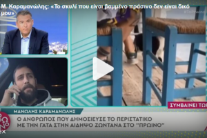 Χαλκίδα: Στον εισαγγελέα ο 30χρονος που κλώτσησε το αδέσποτο γατάκι σε ψαροταβέρνα στην Αιδηψό [Βίντεο] - εικόνα 3