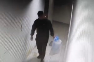 Βραυρώνα: "Το νεογνό είχε κακώσεις εν ζωή" λέει ο ιατροδικαστής- Πώς η μητέρα προσπαθούσε μέχρι τέλους να κρύψει τη γέννα - εικόνα 2