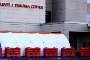 Η φιλόζωη δημοσιογράφος Σταματίνα Σταματάκου είναι έξαλλη με τη "μελέτη" για τον κορονοϊό και τα ζώα συντροφιάς - εικόνα 3