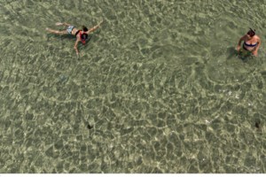 Μωβ Μέδουσες: Ο χάρτης με τις πιο επικίνδυνες παραλίες για αυτή την εβδομάδα - Οι πρώτες βοήθειες σε περίπτωση τσιμπήματος - εικόνα 4