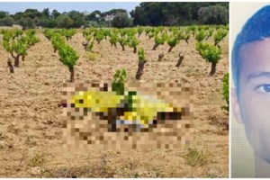 Εγκλημα στη Ραφήνα: "Το όπλο ήταν του θύματος και εκπυρσοκρότησε" - Τι ισχυρίζεται ο δικηγόρος του 46χρονου - εικόνα 2