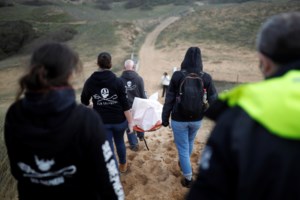 Σοκ: 38 δελφίνια έχουν βρεθεί νεκρά σε παραλίες του Μαυρίκιου - Εικόνες θλίψης - εικόνα 4