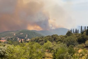 Πύρινος όλεθρος στην Πελοπόννησο: Μάχη με τη φωτιά σε Γορτυνία και Μεγαλόπολη - εικόνα 5