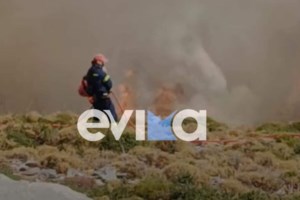 Ομολογία - σοκ του εμπρηστή της Καρύστου: Μου άρεσε να βλέπω τα πυροσβεστικά να σβήνουν τις φλόγες...