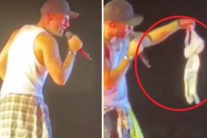 Χρήστος Μάστορας: Έπεσε κι αυτός θύμα "επίθεσης" με σουτιέν σε συναυλία στη Λάρισα [εικόνες, βίντεο] - εικόνα 2