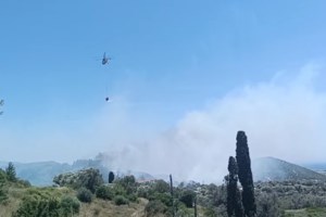 Φωτιά στη Σάμο: Κοντά στον οικισμό Μυτιληνιοί οι φλόγες - Προσαγωγή ηλικιωμένης, πήγε να κάψει σφηκοφωλιά