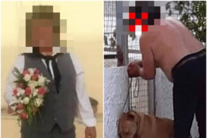 Ο Καλλιάνος ζητά ο βασανισμός ζώων από πλημμέλημα να γίνει κακούργημα - Πιο αυστηρές ποινές υπόσχεται ο Βορίδης - εικόνα 4