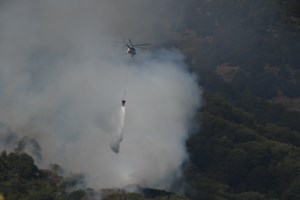 Πολλά και κρίσιμα τα μέτωπα στη φωτιά στο Πετρωτό Δομοκού - Μάχη με τις φλόγες και τους ανέμους - εικόνα 5