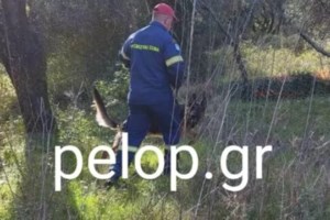 Αχαΐα: Χωρίς τις αισθήσεις του εντοπίστηκε ο 59χρονος αγνοούμενος στις Βελιτσές