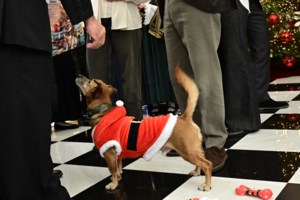 Οι ευχές της Κίμπερλι Γκιλφόιλ για τα Χριστούγεννα: "Ο Θεός να ευλογεί την Ελλάδα και τις ΗΠΑ"