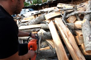 Θρίλερ στην Κυπαρισσία: Βρέθηκε πτώμα θαμμένο σε παραλία - Συναγερμός στις Αρχές