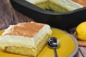 Μαμαδίστικο γλυκό ψυγείου με σαβαγιάρ, κρέμα και ζελέ - Δροσερό και ελαφρύ