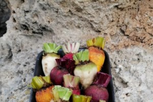 Ινδοί αγρότες έγιναν κτηνοτρόφοι στην Χαλκιδική - "Η ζωή μας στην Ελλάδα είναι ωραία" [εικόνες] - εικόνα 4