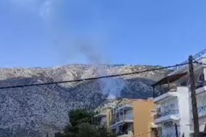 Φωτιά στο Κάστρο Βοιωτίας: Πολύ κοντά σε υποσταθμό της ΔΕΗ - Πυρκαγιά και στο Κιλκίς