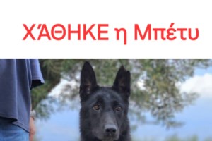 Συνεχίζουμε να ψάχνουμε την Μπέτυ - Εάν τη δείτε μην της μιλήσετε - Καλέστε στα 6936533791 - 6997133221