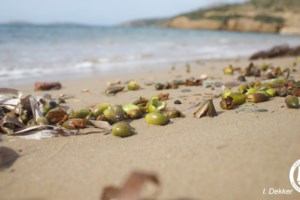 Κοινωνικός τουρισμός 2025: Άνοιξε η πλατφόρμα, αιτήσεις με ΑΦΜ για 300.000 vouchers