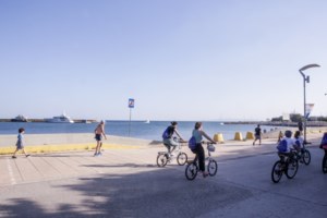 Παγώνη για ευλογιά των πιθήκων: "Μάλλον ανεμοβλογιά" τα δύο υπό διερεύνηση ύποπτα κρούσματα [βίντεο] - εικόνα 2